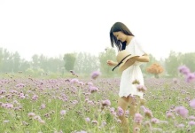 女性养生新潮流：茶饮中的健康秘密